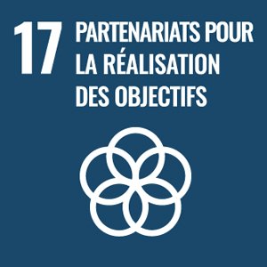 17 Partenariats pour la réalisation des objectifs